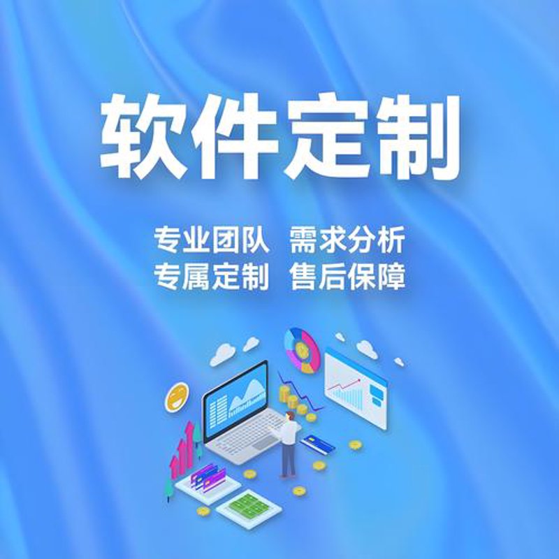 软件定制开发:构建企业核心竞争力的秘密武器
